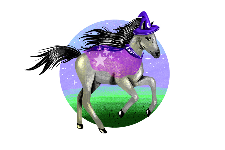 A colt (occult) was dressed up in witch's gear as if it had magical powers. 